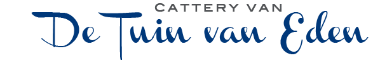 Cattery banner