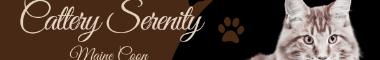 Cattery banner