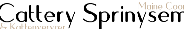 Cattery banner
