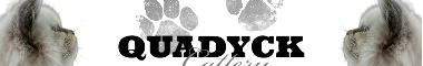 Cattery banner
