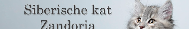 Cattery banner