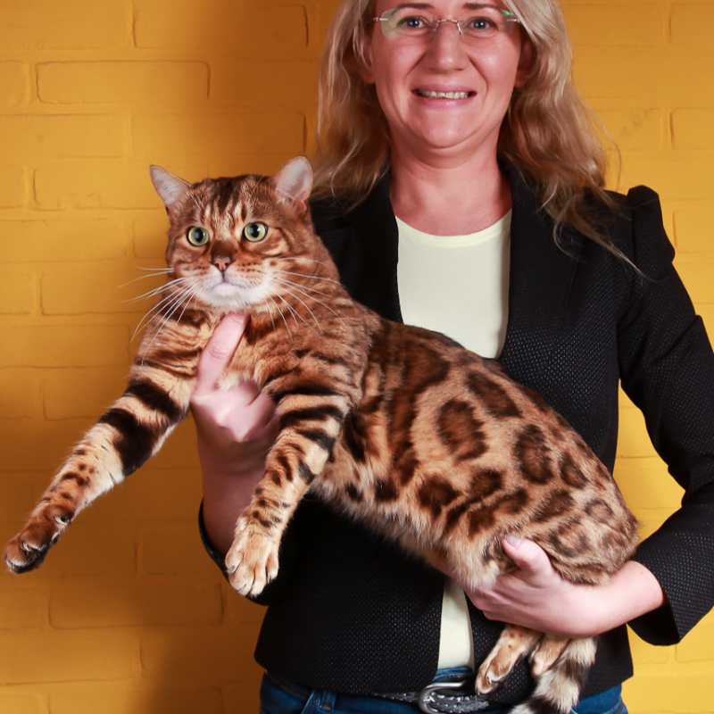 Foto van de kat
