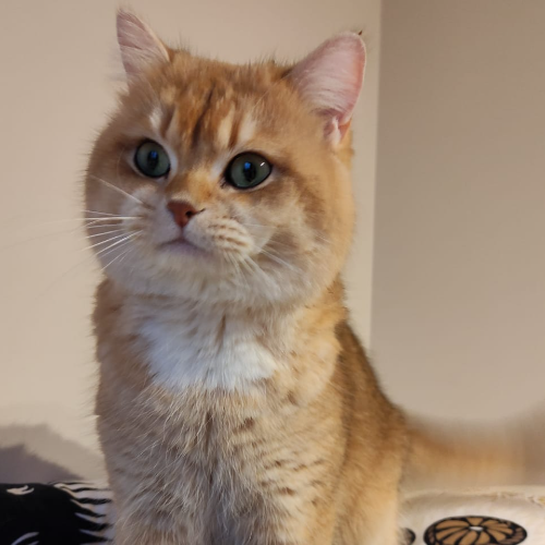 front.herplaats_image