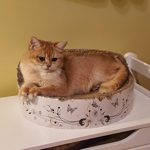 front.herplaats_image