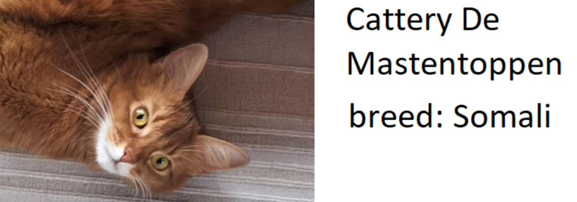 Profiel banner van $member->naam_kittenaccount)}}
