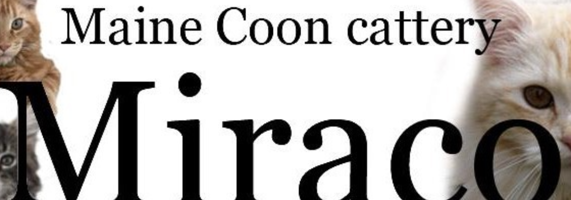 Profiel banner van $member->naam_kittenaccount)}}