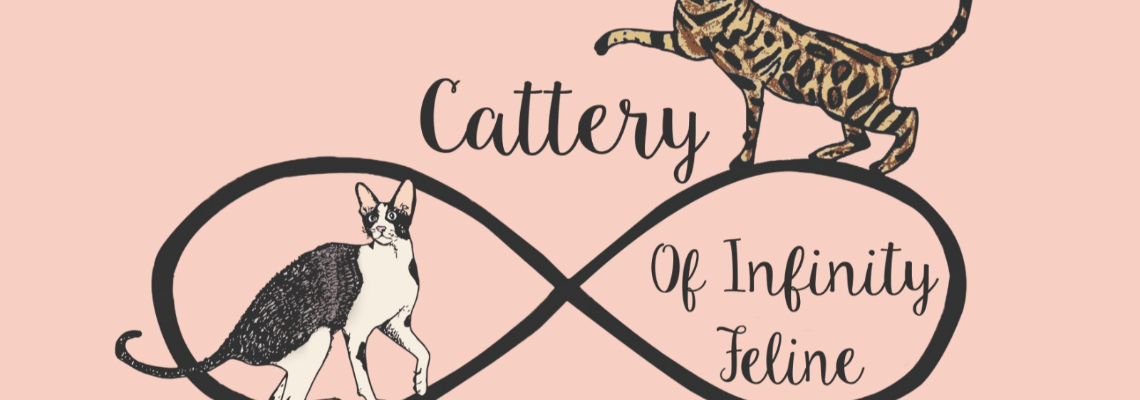 Profiel banner van $member->naam_kittenaccount)}}