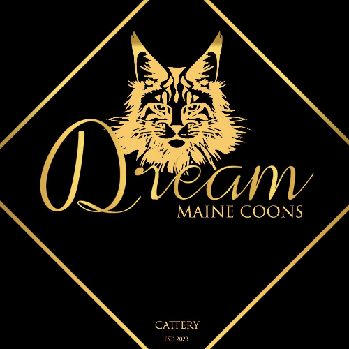 Profiel afbeelding van catterydream