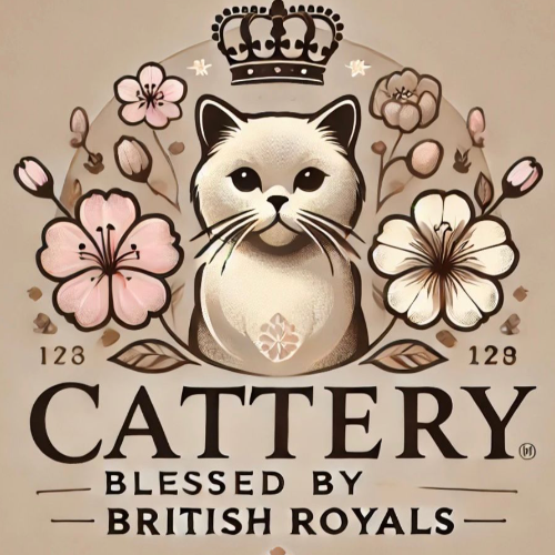 Profiel afbeelding van blessedbybritishro