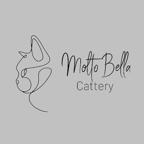 Profiel afbeelding van catterymoltobella