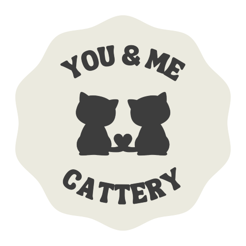 Profiel afbeelding van cattery_you_me